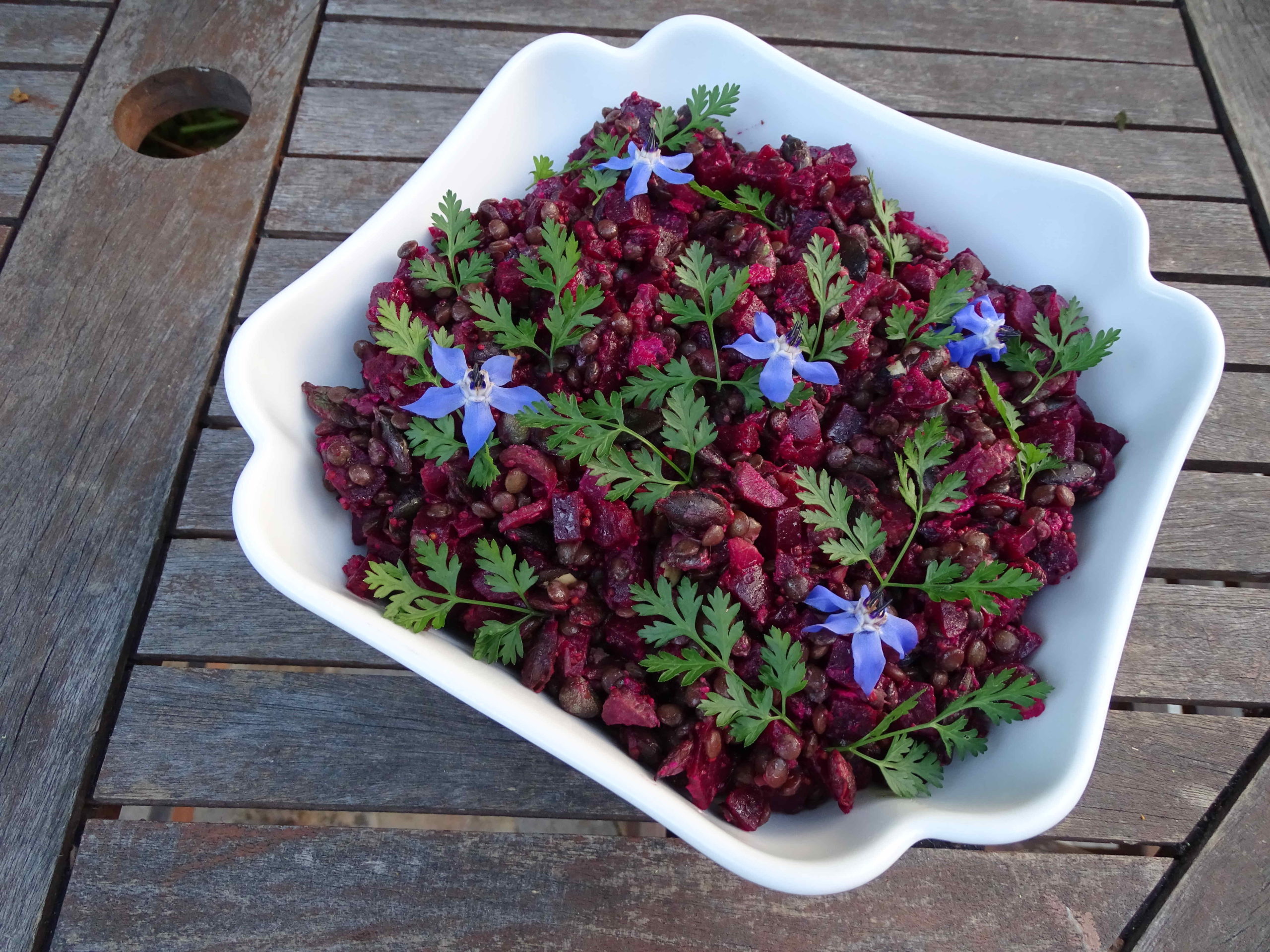 Salade de betteraves aux lentilles du Puy - Association Polen Salade de betteraves aux lentilles du Puy - Association Polen