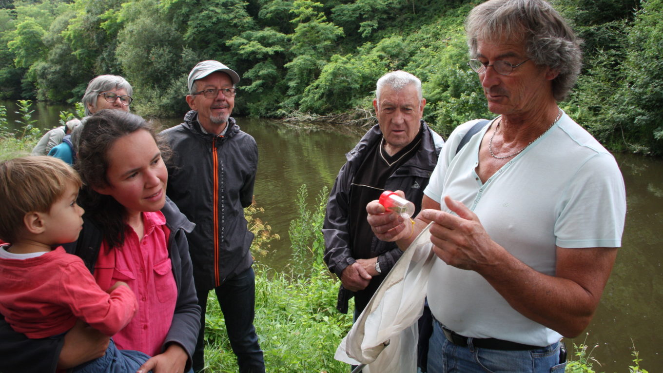 InsectesNatureenvIlleCanalJosselinBernardIliou010821