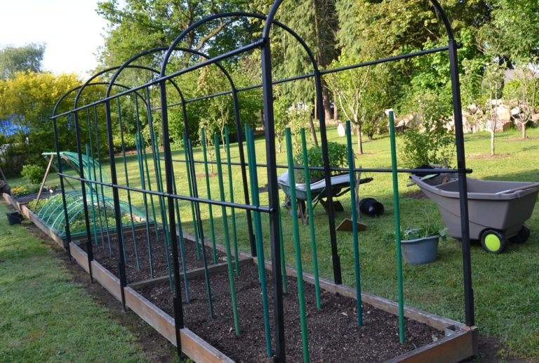 Fabrication d'un abri pour tomates - Association Polen