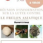 Affiche Réunion d’information sur la lutte contre le frelon asiatique